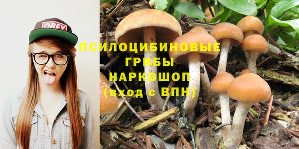 молекула духа Карталы