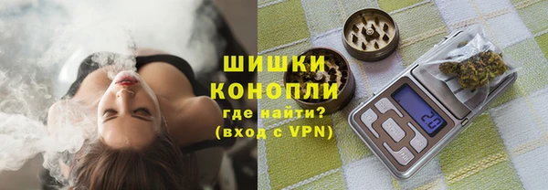 гидра Кодинск