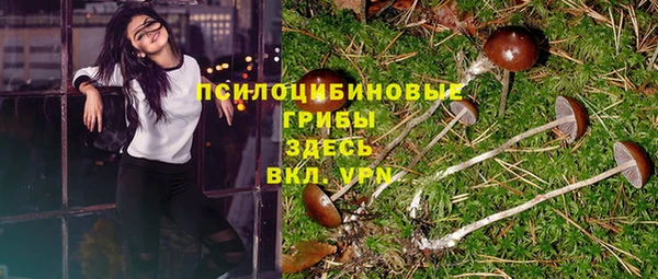 MDMA Premium VHQ Козельск